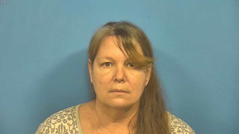 Naperville women accused of stabbing two young girls