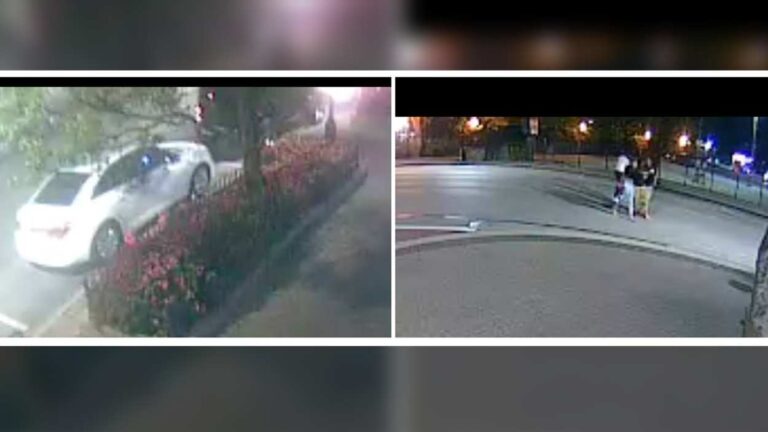 Crime Stoppers image of surveillance images of cars and potential suspects, witnesses in downtown Naperville attack