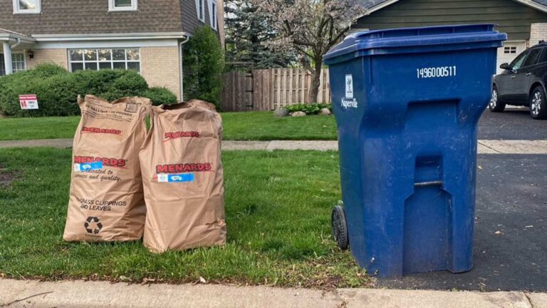 Yard waste bag and recycling bin at the curb
