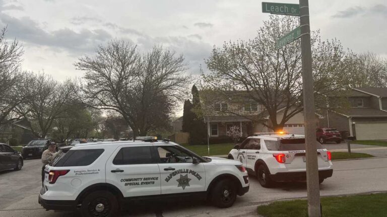 Naperville police vehicles on Leach Drive for shooting investigation