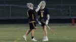 Neuqua Valley lacrosse players celebrate a goal against The Valley.