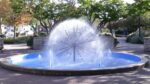 Dandelion Fountain