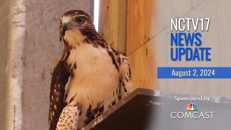 NCTV17 News Update slate for August 2, 2024 with raptor from wildlife center in background