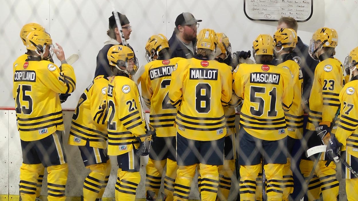 Neuqua Valley hockey skates past the Warriors Hockey Club 4-1