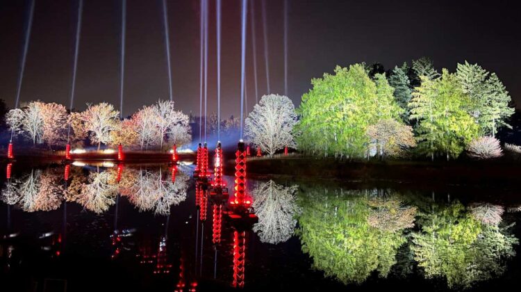 video of lit up trees with colored lights reflected in a pond at Morton Arboretum