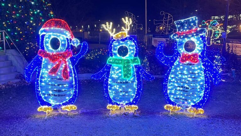 なーし クリスマス街路灯 クリスマス置物 街灯 LEDライト 180cm Amazon