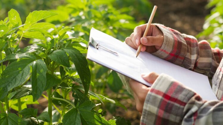 Close up of person writing on clipboard with plants in view