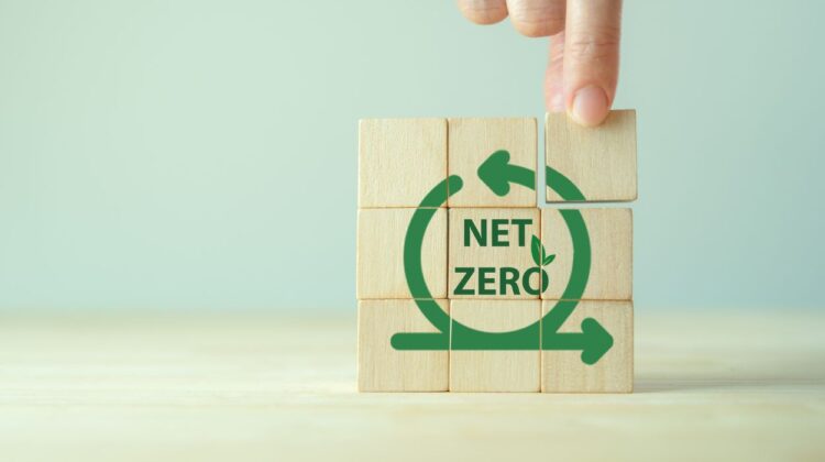 Close up of person's hand on blocks that spell out "net zero" for story on D203 carbon action plan