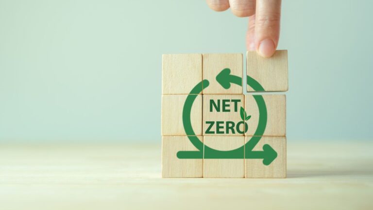 Close up of person's hand on blocks that spell out "net zero" for story on D203 carbon action plan
