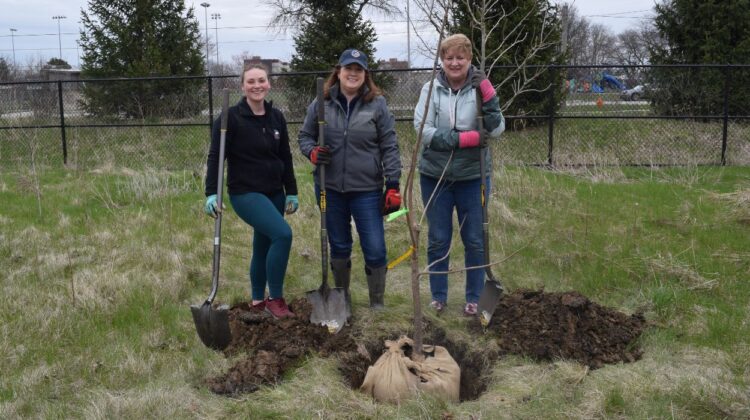 Volunteers planting trees at Sportsman's Park
