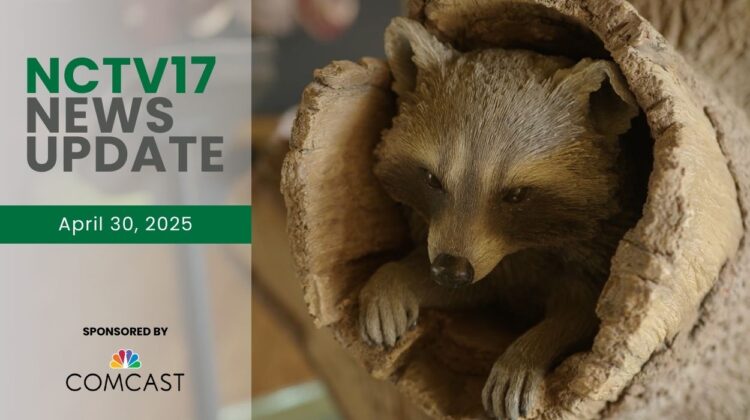 NCTV17 News Update slate for April 30, 2025 with raccoon figurine in tree hollow at Hidden Oaks Nature Center in background