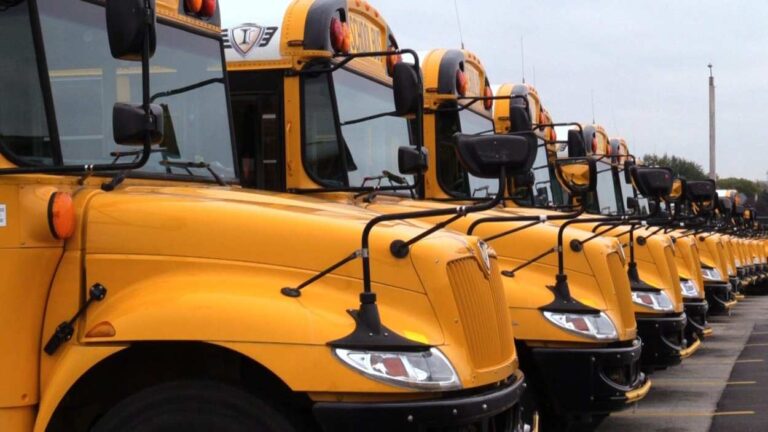 Front ends of school buses, lined up in a row