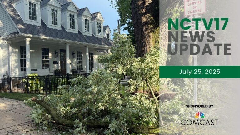 A fallen tree sits in front of a home in Naperville following a storm, as storm cleanup continues.