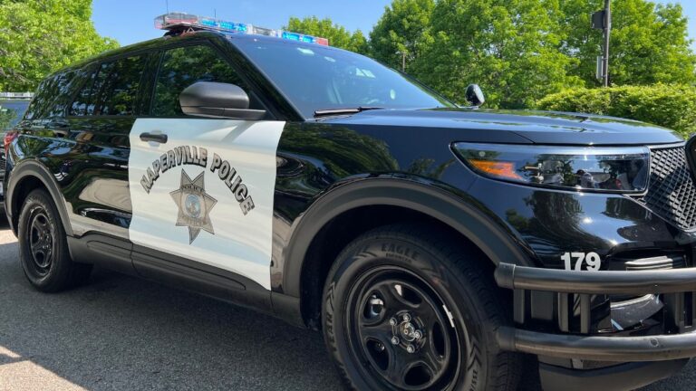 A photo of a Naperville police car